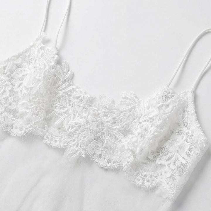 Veluria – Embroidered Lace Sheer Slip Dress