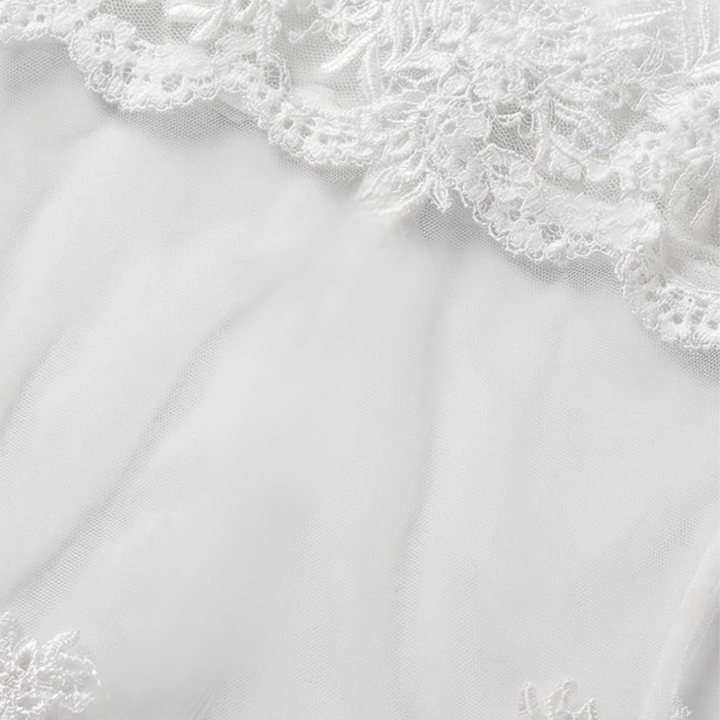 Veluria – Embroidered Lace Sheer Slip Dress