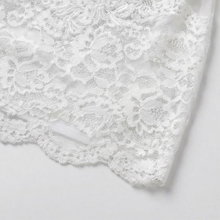 Veluria – Embroidered Lace Sheer Slip Dress
