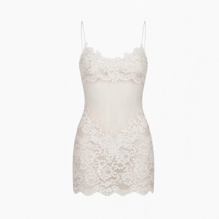 Veluria – Embroidered Lace Sheer Slip Dress