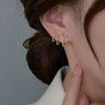 Elarra - Multi-Piercing Look Earrings