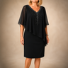 Joise | Elegant Draped Dress