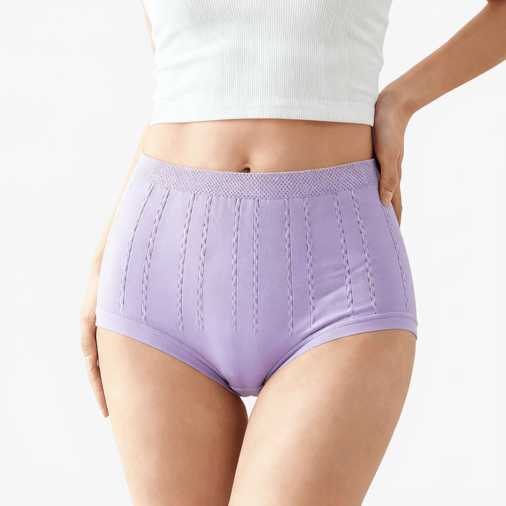 SleekHips – High Waisted Leakproof Panties